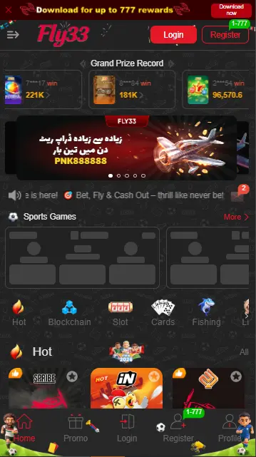 Fly33 Game
